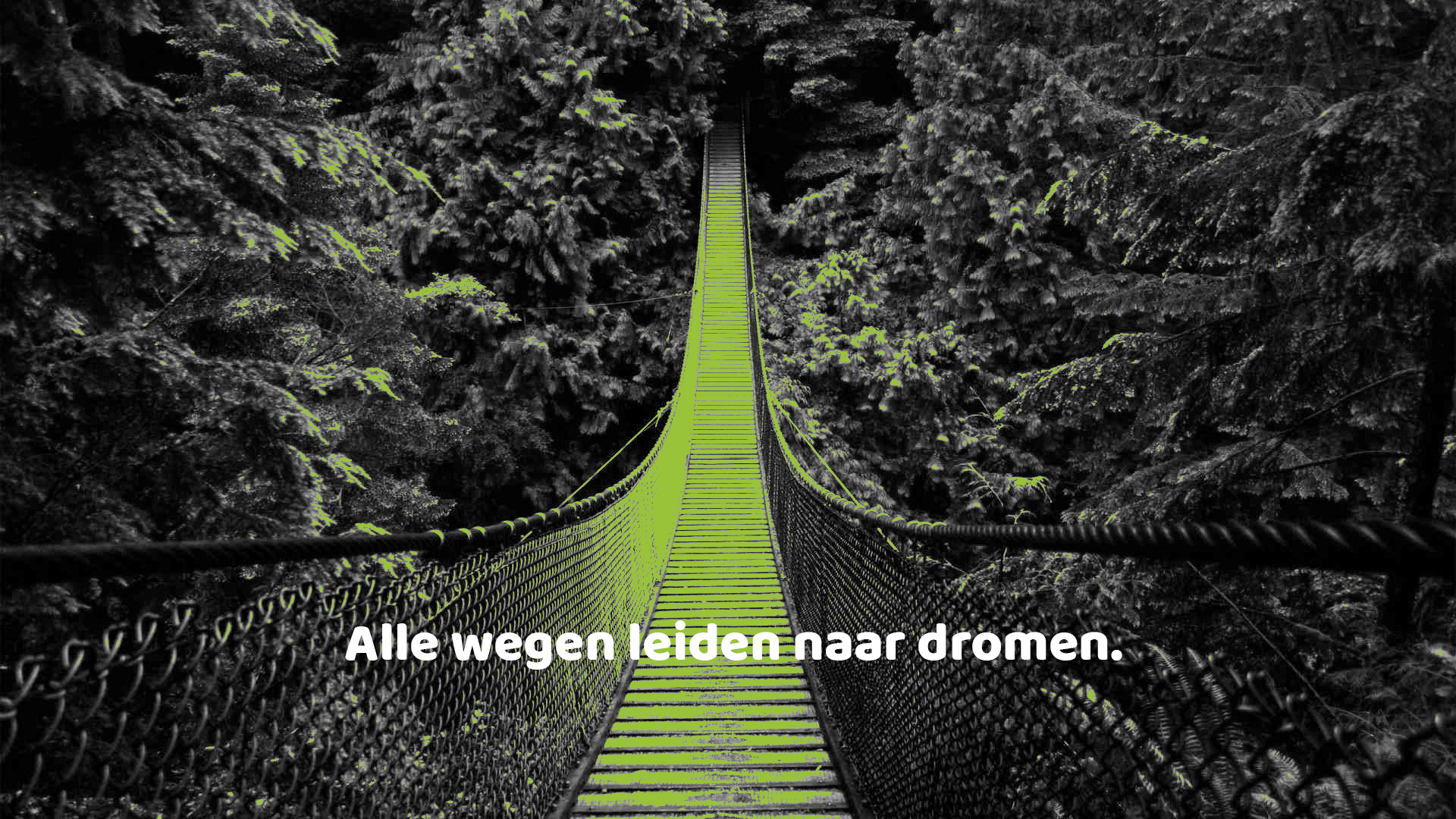 brug(1)